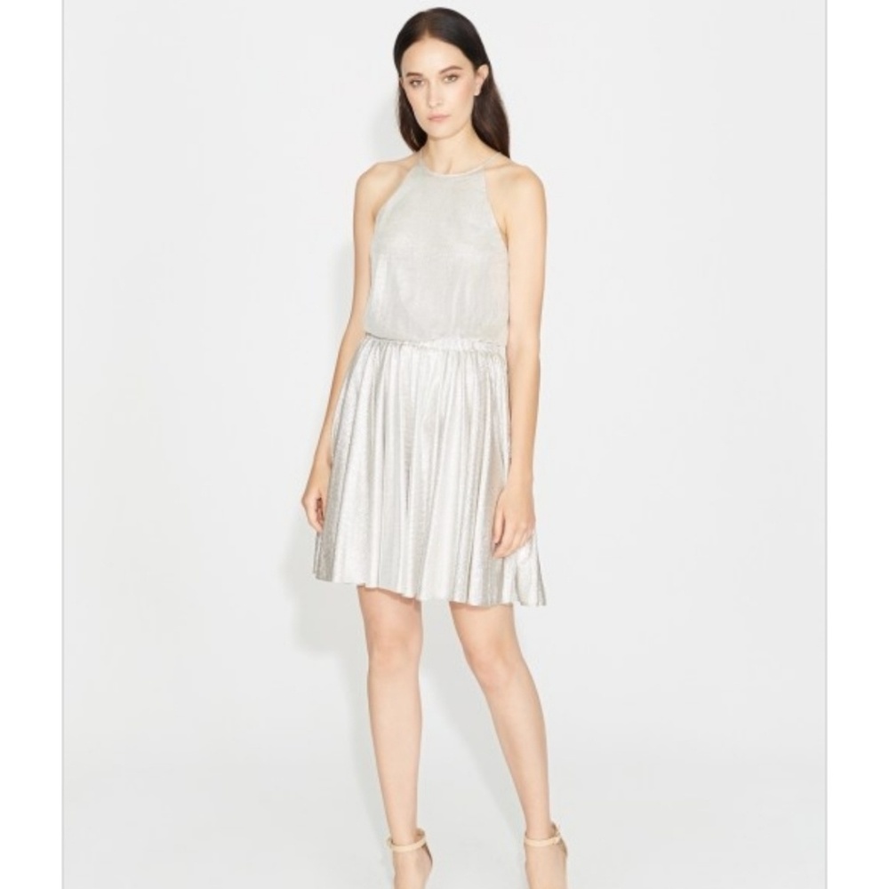 Halston Heritage Silver Dress